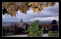 Vista de la Alhambra