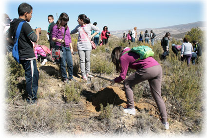 Los estudiantes preparan los hoyos para plantar especies autóctonas /J.A. SANCHEZ LUJAN