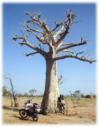 Mario junto al primer baobab de la ruta 