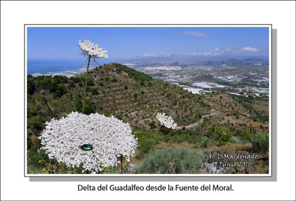 Otra bella estampa de Antonio tomada desde la Fuetne del Moral 