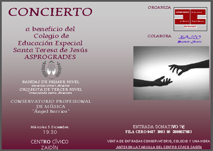 Cartel del concierto solidario 