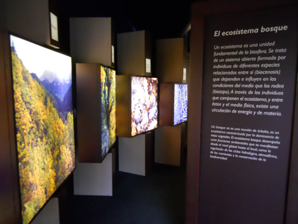 Paneles luminosos en el acceso de la exposición /A. ARENAS