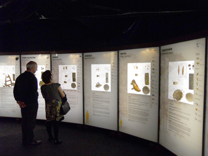 Sala dedicada a las especies arborícolas de la Península Ibérica / A. ARENAS