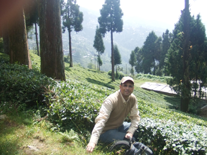 Mesquida entre las plantaciones de té de Darjeeling, buscando refugio en las altas montañas, tras sentirse abrumado por la aglomeración y el caos de Calcuta