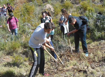 IES Alhama resinera5