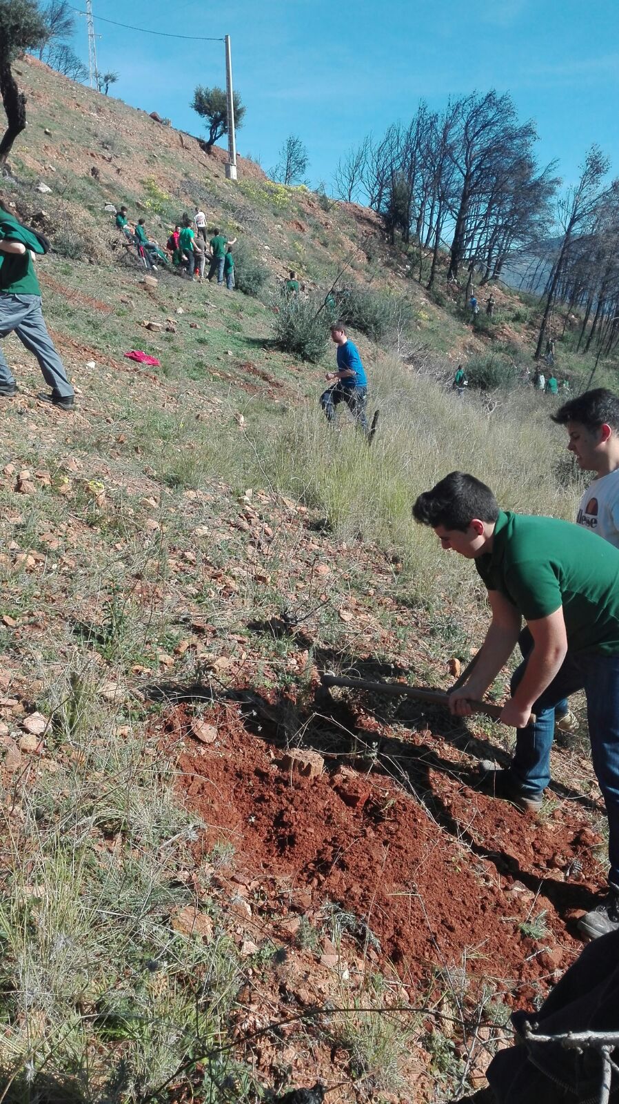 La EFA El Soto colabora con la restauración del Alcornocal de Lújar