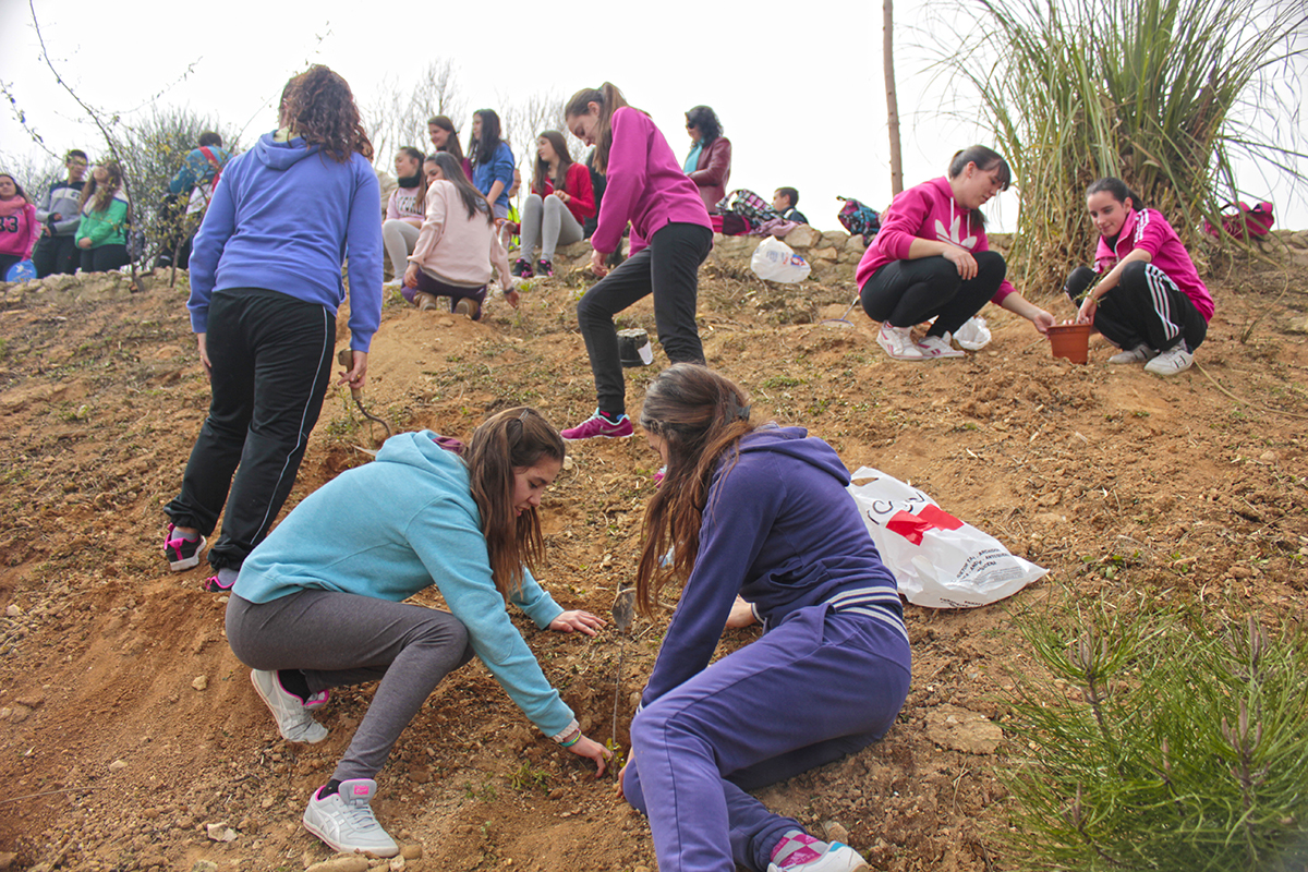 Huétor Tájar organiza una plantación de un centenar de árboles en un antiguo vertedero