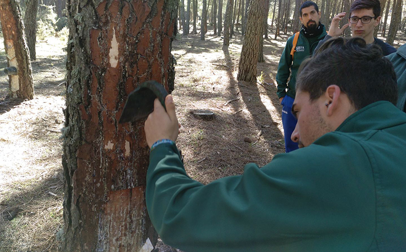 La EFA ‘El Soto’ celebra sus XLVIII Jornadas Socioambientales, dedicadas a los Aprovechamientos Agroforestales