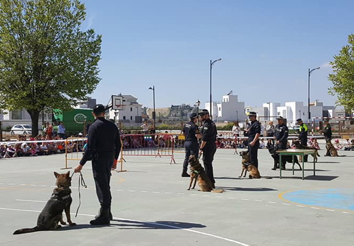 Escolares de Cúllar Vega conocen de cerca la labor de los perros policía