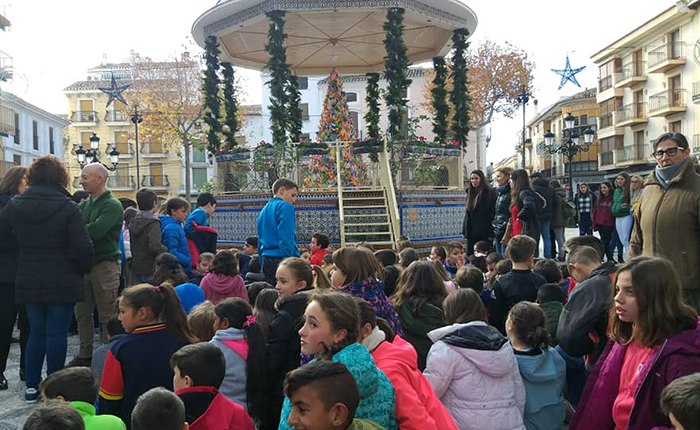 Las ‘grullas’ alegran las navidades de los oscenses