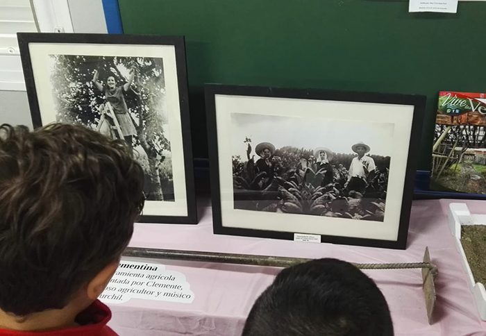 Alumnos del colegio La Almohada de Belicena conocen las tradiciones ligadas a la agricultura