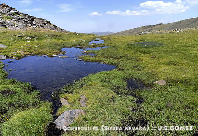 Granada lidera un concurso y un congreso sobre el valor de los paisajes del Agua