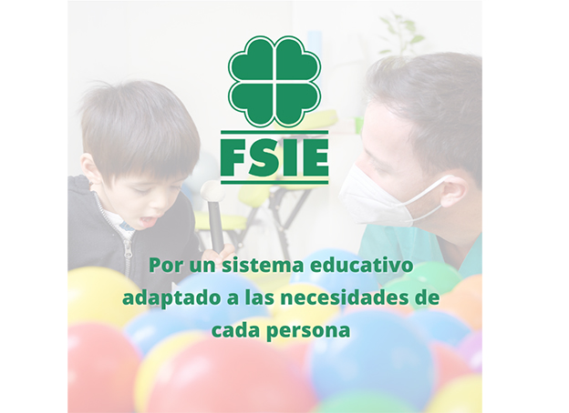 FSIE-Andalucía presenta a los partidos politicos sus propuestas en materia educativa y discapacidad