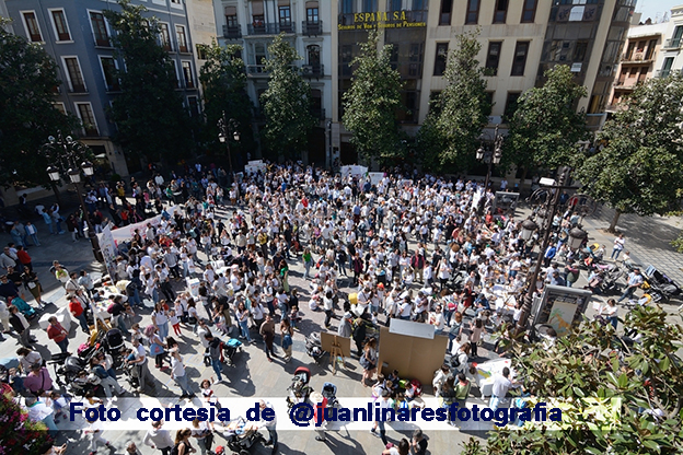 Más de 500 personas celebran en un ambiente festivo el 40 aniversario de las Escuelas Infantiles Municipales de Granada