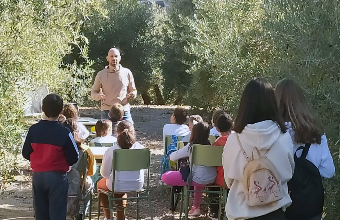 ‘El olivar, riqueza natural’, un gran proyecto didáctico desarrollado en el CEIP Federico García Lorca de Olivares