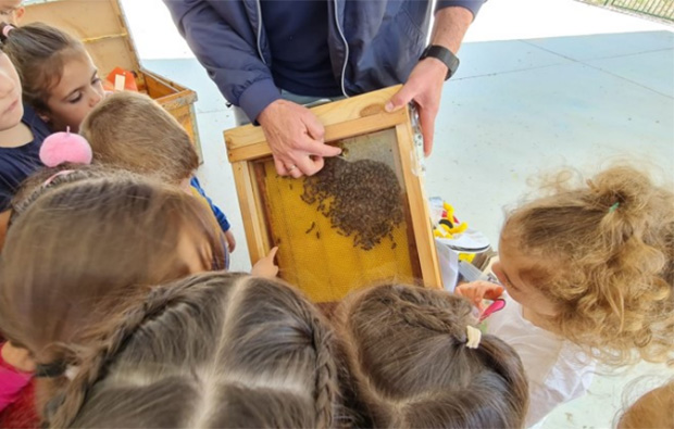 Las abejas ‘visitan’ el colegio de Olivares