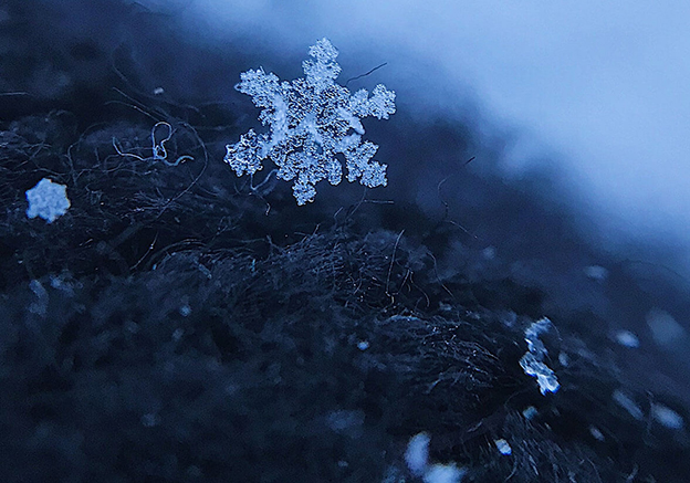 Todo un mundo detrás de un copo de nieve