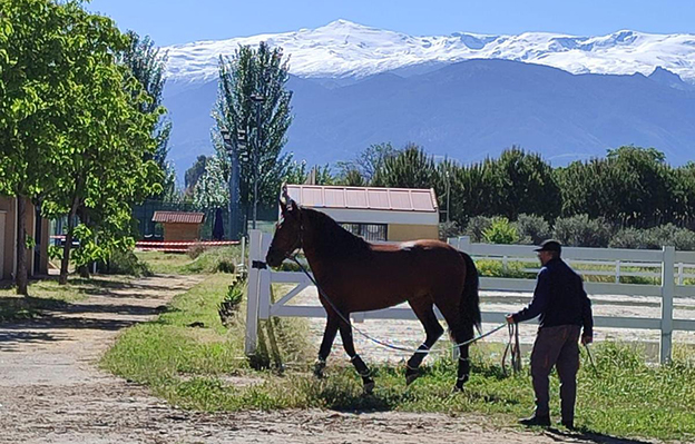 El alumnado del CEIP Esquí-Escuela aprende a montar a caballo