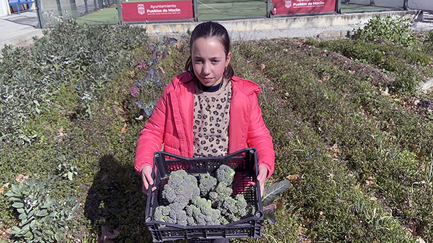 Raúl Cerezo García: «Del otoño a la primavera: Cultivando un huerto todo el año»