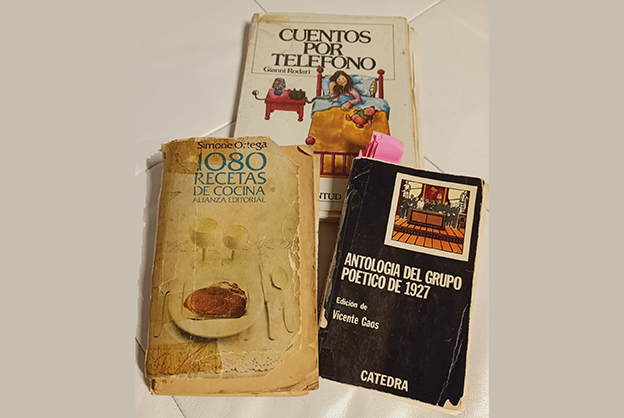 Ana Barea: «La vida en los libros»