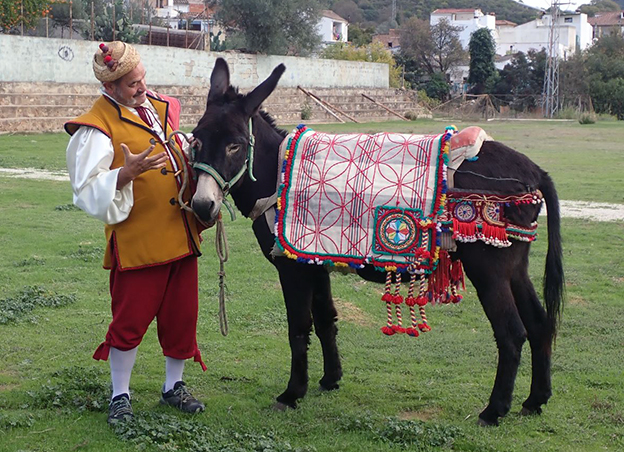 Aprender desde los pies a la cabeza. La estética del aprendizaje en clave andariega