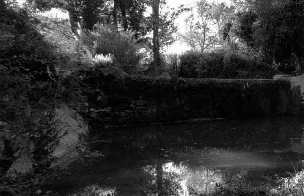 El amanecer con humo. Benalúa de las Villas… Hijos Dulces de Dios (VIII-D)