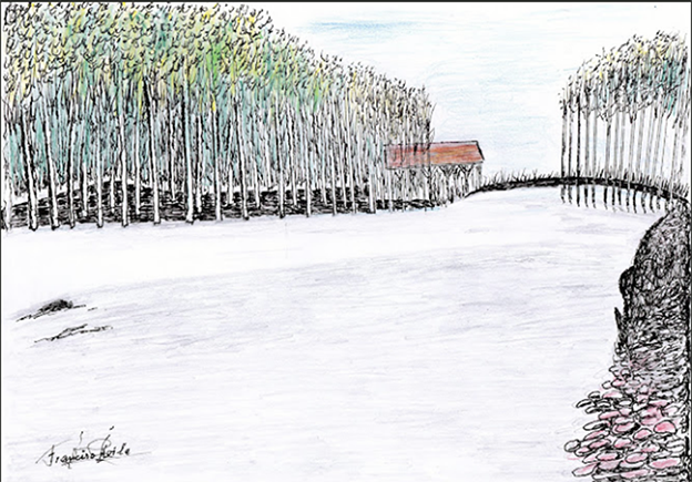 Francisco Ávila: ‘Adora la gitana’ (3)