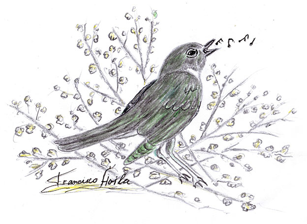 Francisco Ávila: ‘Adora la gitana’ (4)