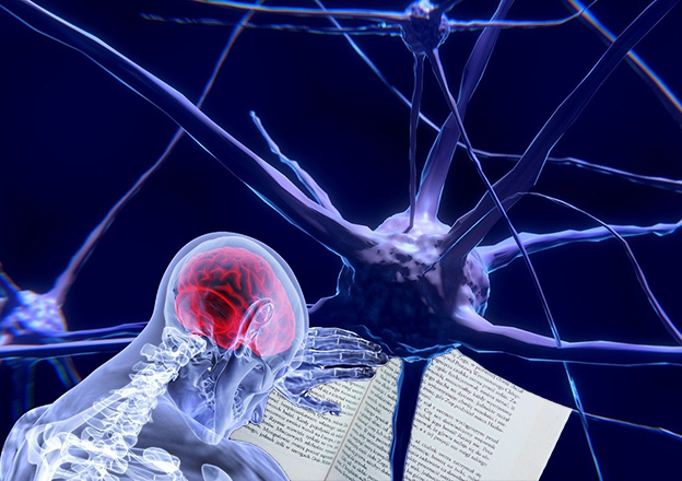 Ana Barea: «Lectura y conexiones neuronales»