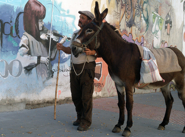 Isidro García Cigüenza: «’Saber caminar’ es ‘Saber observar’