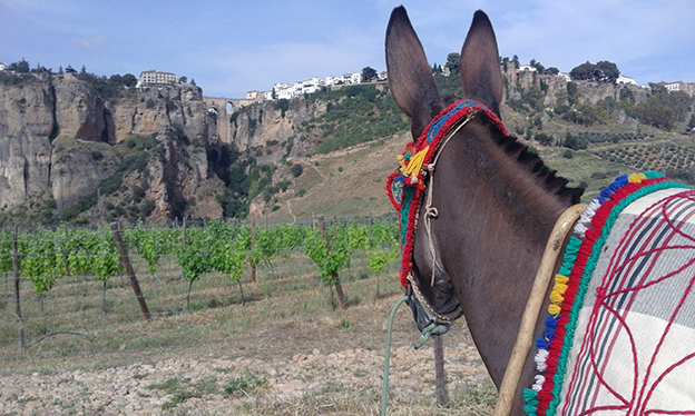 Isidro García Cigüenza: «Una propuesta andariega de lo más interesante»