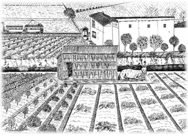 Francisco Ávila: ‘Adora la gitana’ (7)