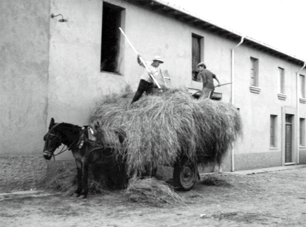 El amanecer con humo. Benalúa de las Villas… Hijos Dulces de Dios (XI-A)
