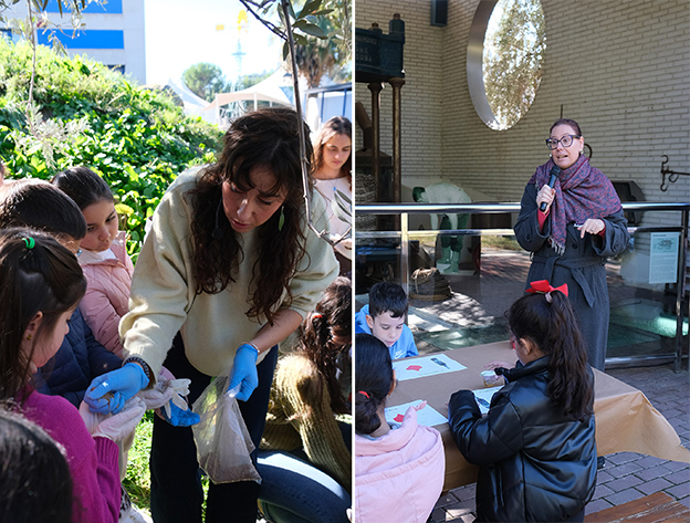 El Parque de las Ciencias celebra el Día Mundial del Olivo con la tradicional recogida de aceituna