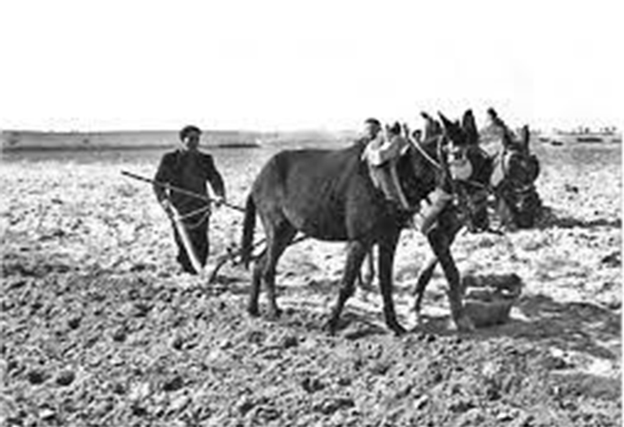 El relato del domingo, por Pedro Ruiz-Cabello (62): Frasco