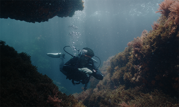 ‘Guardianes del Mediterráneo’: la nueva docuserie que pone rostro a quienes protegen el futuro del mar