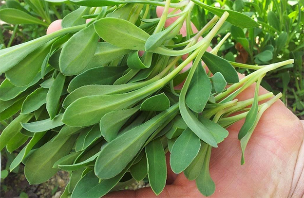 El relato del domingo, por Pedro Ruiz-Cabello (71): Por unas collejas