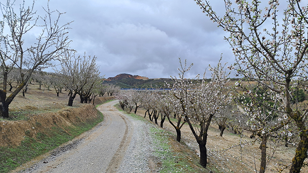 Leandro García Casanova: «Por el camino de Montevive»
