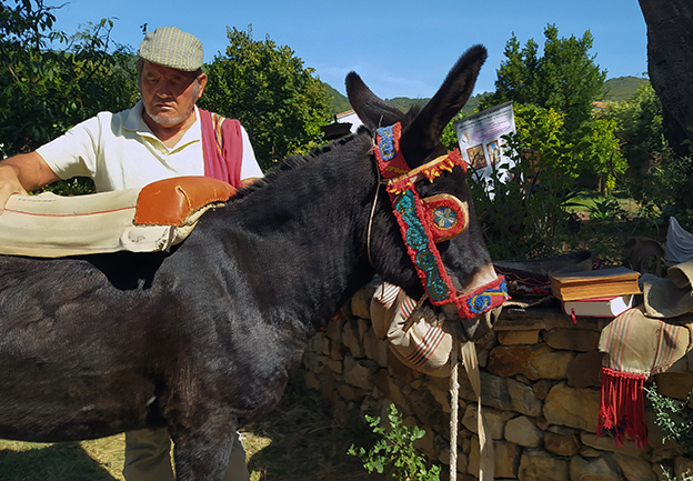 Pedagógicas misiones vs. Misiones pedagógicas (Pedagogía Andariega)
