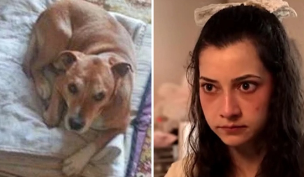 Tomás Moreno Fernández: «J’accuse»