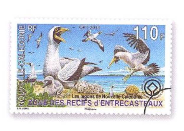 Juan Franco Crespo: Islas del mundo. Los arrecifes D’Entrecasteaux