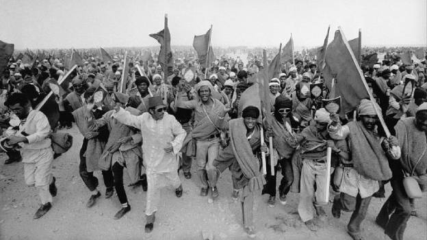 Salvador Fernández-Vivancos Fernández: La marcha verde